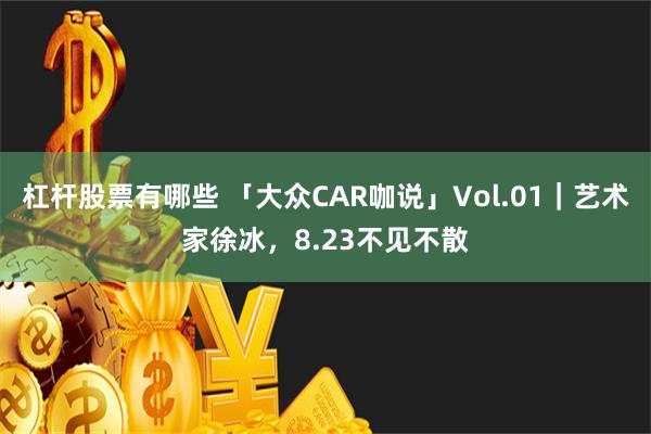 杠杆股票有哪些 「大众CAR咖说」Vol.01｜艺术家徐冰，8.23不见不散