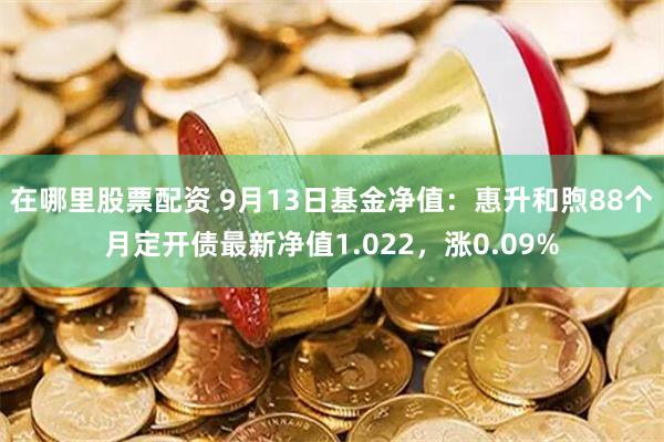 在哪里股票配资 9月13日基金净值：惠升和煦88个月定开债最新净值1.022，涨0.09%