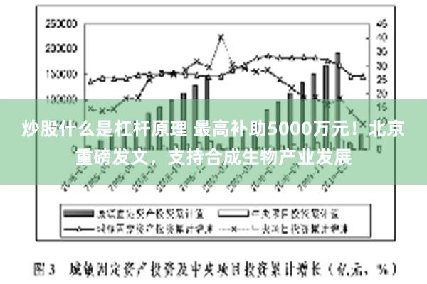 炒股什么是杠杆原理 最高补助5000万元！北京重磅发文，支持合成生物产业发展