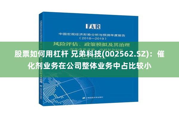 股票如何用杠杆 兄弟科技(002562.SZ)：催化剂业务在公司整体业务中占比较小