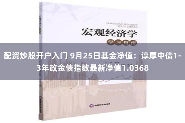 配资炒股开户入门 9月25日基金净值：淳厚中债1-3年政金债指数最新净值1.0368