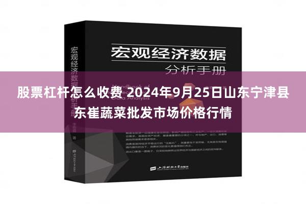 股票杠杆怎么收费 2024年9月25日山东宁津县东崔蔬菜批发市场价格行情