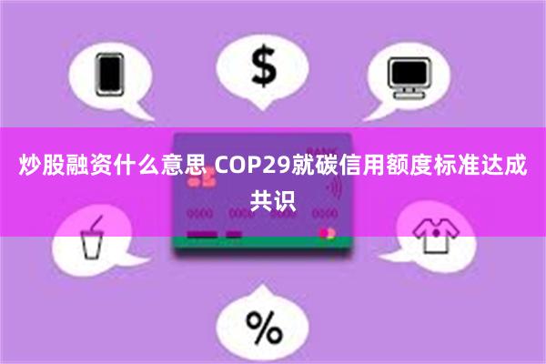 炒股融资什么意思 COP29就碳信用额度标准达成共识