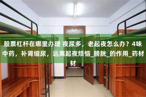股票杠杆在哪里办理 夜尿多，老起夜怎么办？4味中药，补肾缩尿，远离起夜烦恼_膀胱_的作用_药材