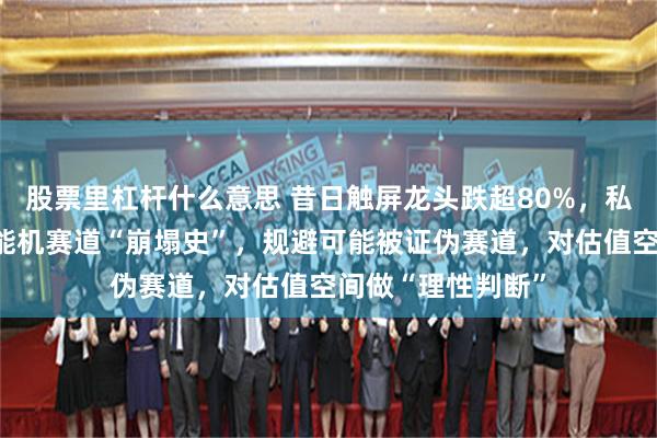 股票里杠杆什么意思 昔日触屏龙头跌超80%，私募合伙人反思智能机赛道“崩塌史”，规避可能被证伪赛道，对估值空间做“理性判断”