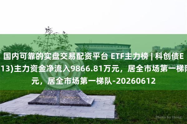国内可靠的实盘交易配资平台 ETF主力榜 | 科创债ETF大成(159113)主力资金净流入9866.81万元，居全市场第一梯队-20260612