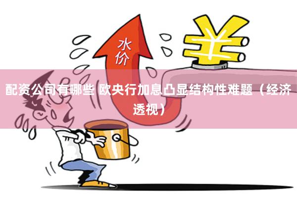 配资公司有哪些 欧央行加息凸显结构性难题（经济透视）