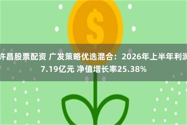 许昌股票配资 广发策略优选混合：2026年上半年利润7.19亿元 净值增长率25.38%